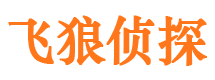 礼县侦探